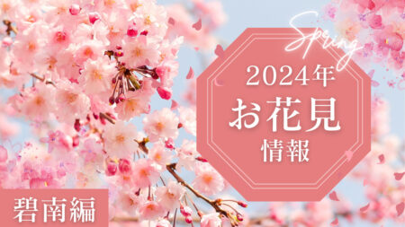 【2024年お花見情報】碧南市で桜を見るならココ！周辺のグルメもご紹介