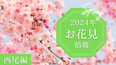 【2024年お花見情報】西尾市で桜を見るならココ！西尾のテイクアウトグルメもご紹介