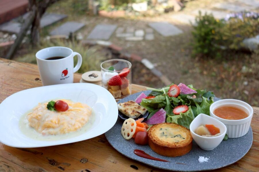 限定「春ランチ」