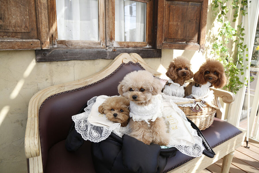 テラスをリニューアル！