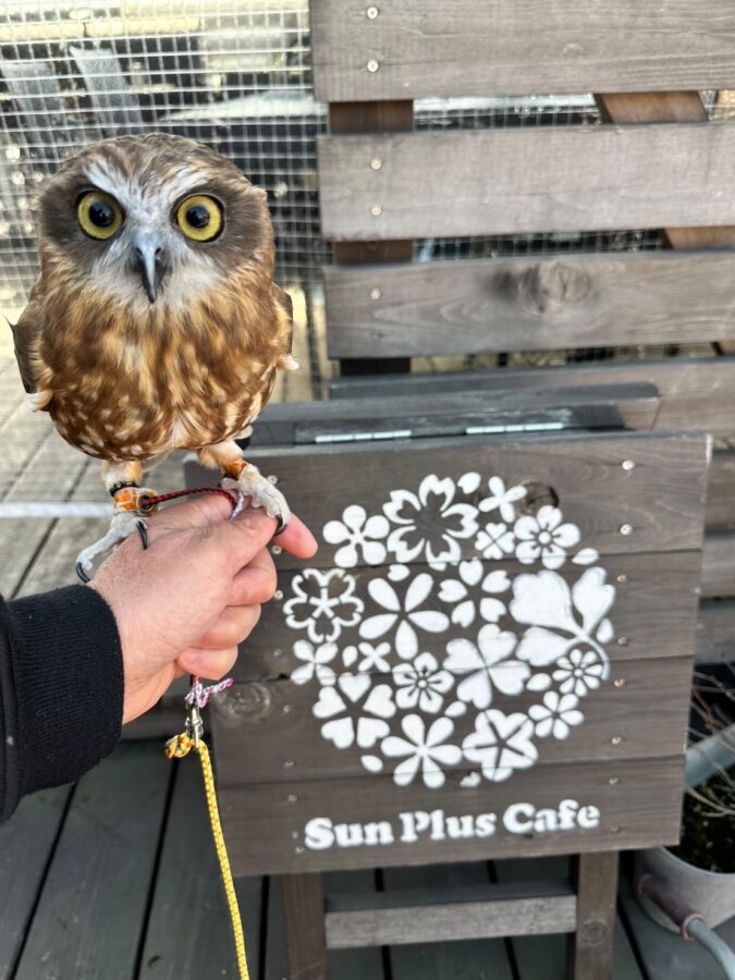 テラスで楽しめる！