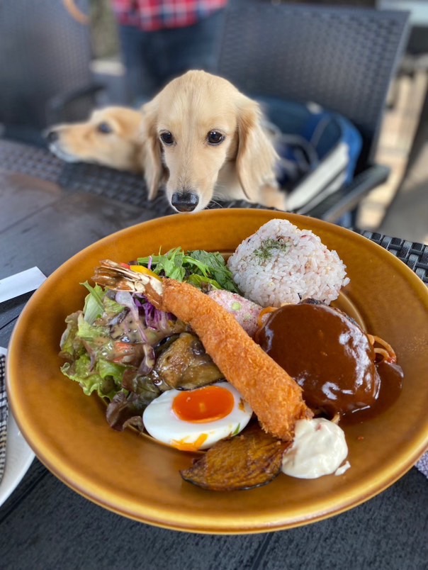 ランチメニューも充実！