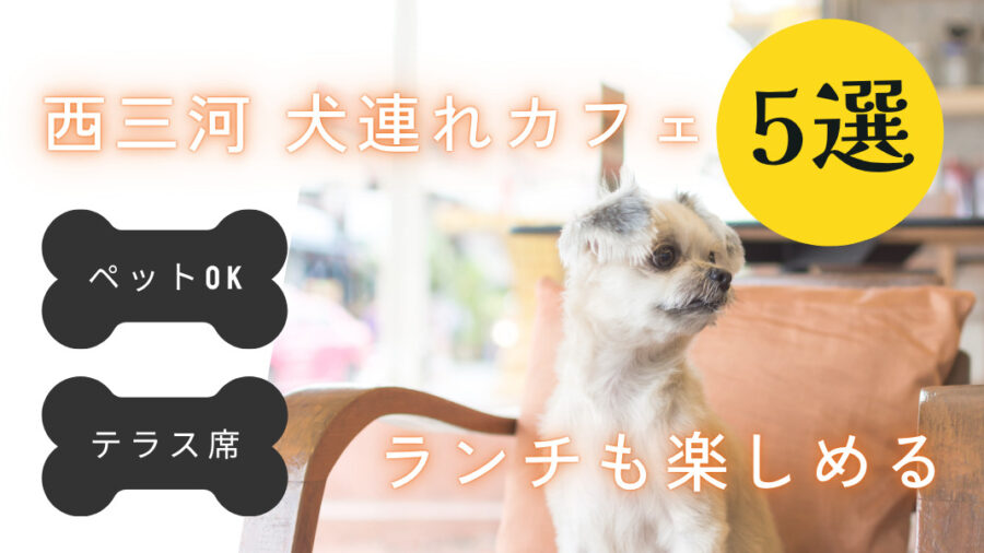 【2026年最新】西三河で犬連れOKのカフェ5選｜わんちゃんと一緒に楽しめる人気店まとめ