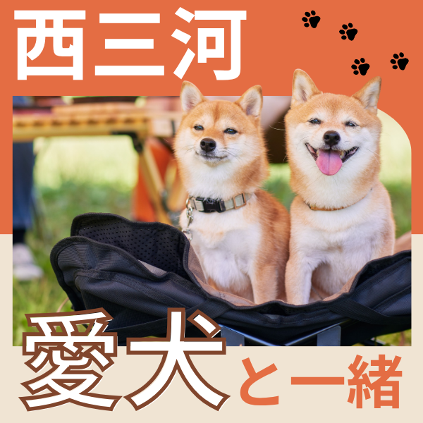 春のおでかけ日和♪愛犬と一緒に楽しもう