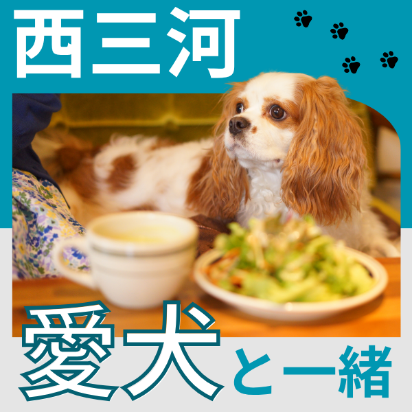 春のおでかけ日和♪愛犬と一緒に楽しもう