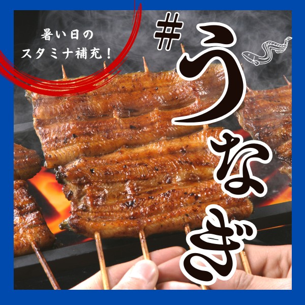 夏のごほうびはやっぱりうなぎで決まり！