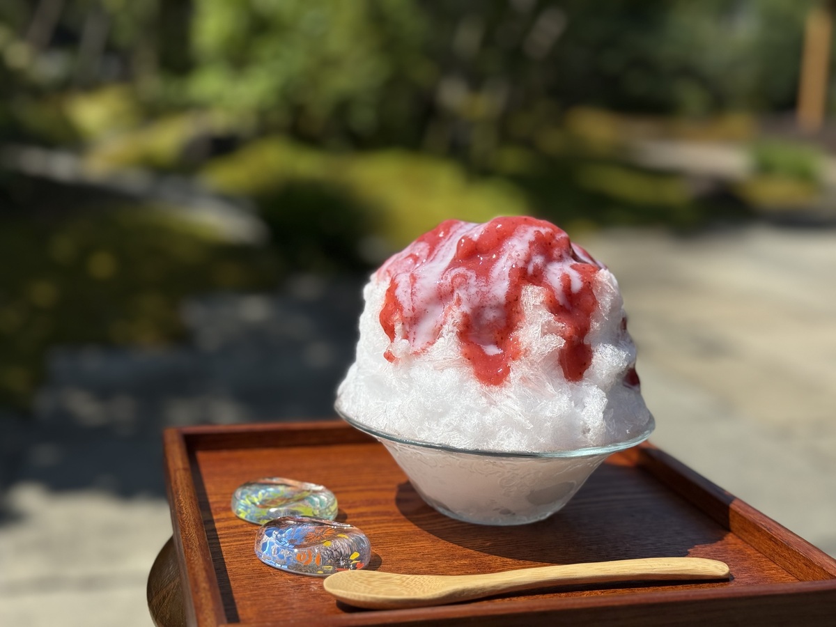 メニュー