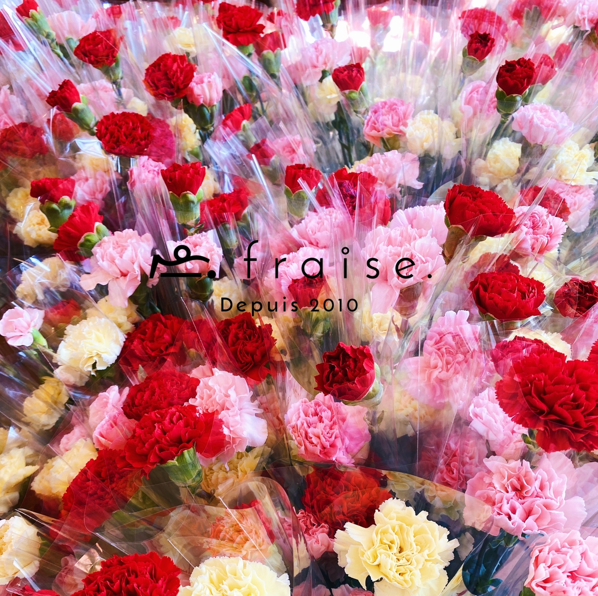 イベント情報 母の日イベント カーネーションをプレゼン 刈谷市のpatisserie Fraise Chaoo Jp イベント情報 母の日イベント カーネーションをプレゼン 刈谷市のpatisserie Fraise Chaoo Jp