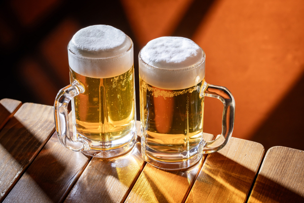 鍋なしでも大満足！豊田市「春ノ山」の鉄板料理とビールで初夏を満喫