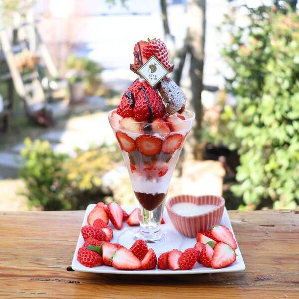 完熟いちごたっぷり！KingFarmCafeの季節限定「いちごショコラパフェ」が...