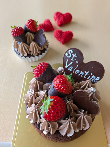 バレンタイン限定♡ガトーショコラ