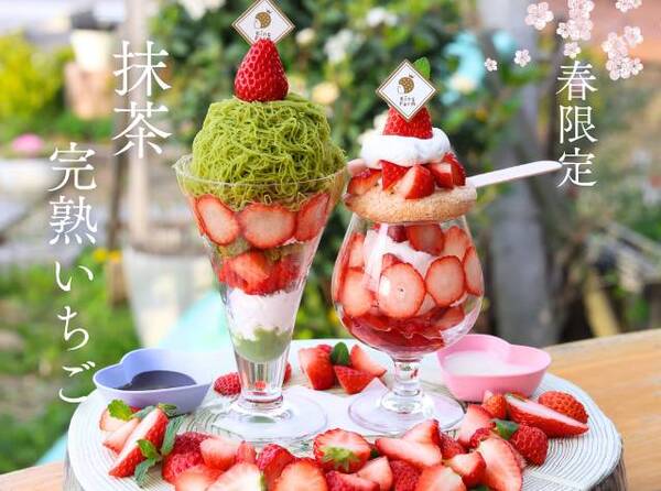 西尾市で話題！極細0.7mmの抹茶モンブランいちごパフェが4/10～新登場｜Ki...