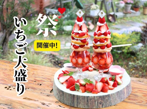 【臨時休業のお知らせ】いちごシーズンも残りわずか！最後までお楽しみください♪