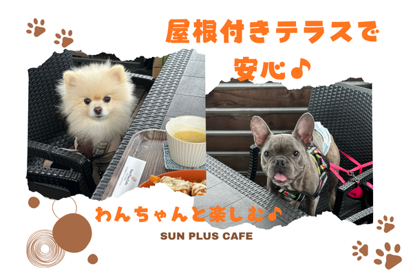 わんちゃんとのカフェ時間に♪ テラス席でゆったり過ごせる【Sun Plus Ca...