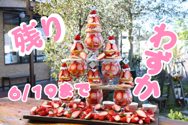 【6/19まで】今季の生いちごスイーツ終了！夏の新作＆ももパフェも続々登場♪
